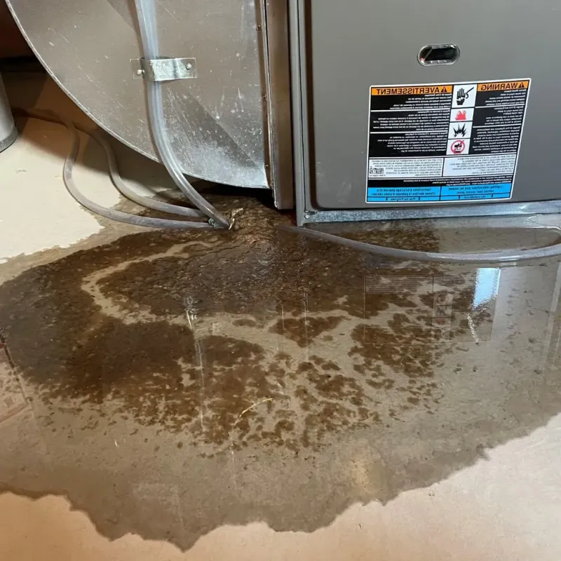 Pipe Burst and Leak Restoration in Hill Country Village, TX