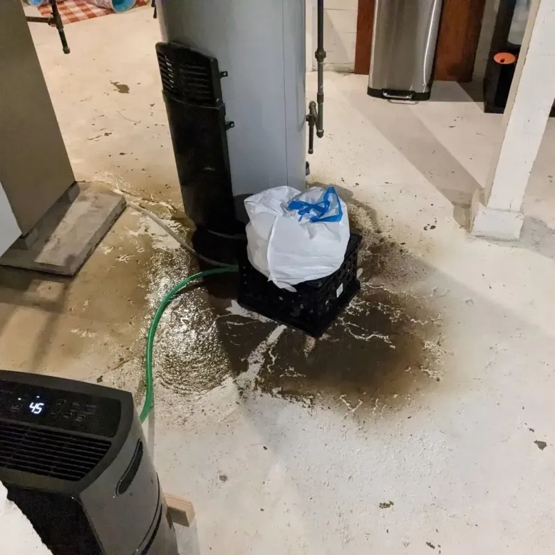 Sewage Backup Cleanup Service in Hill Country Village, TX